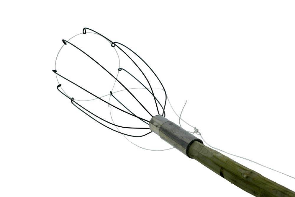 Плодосборник